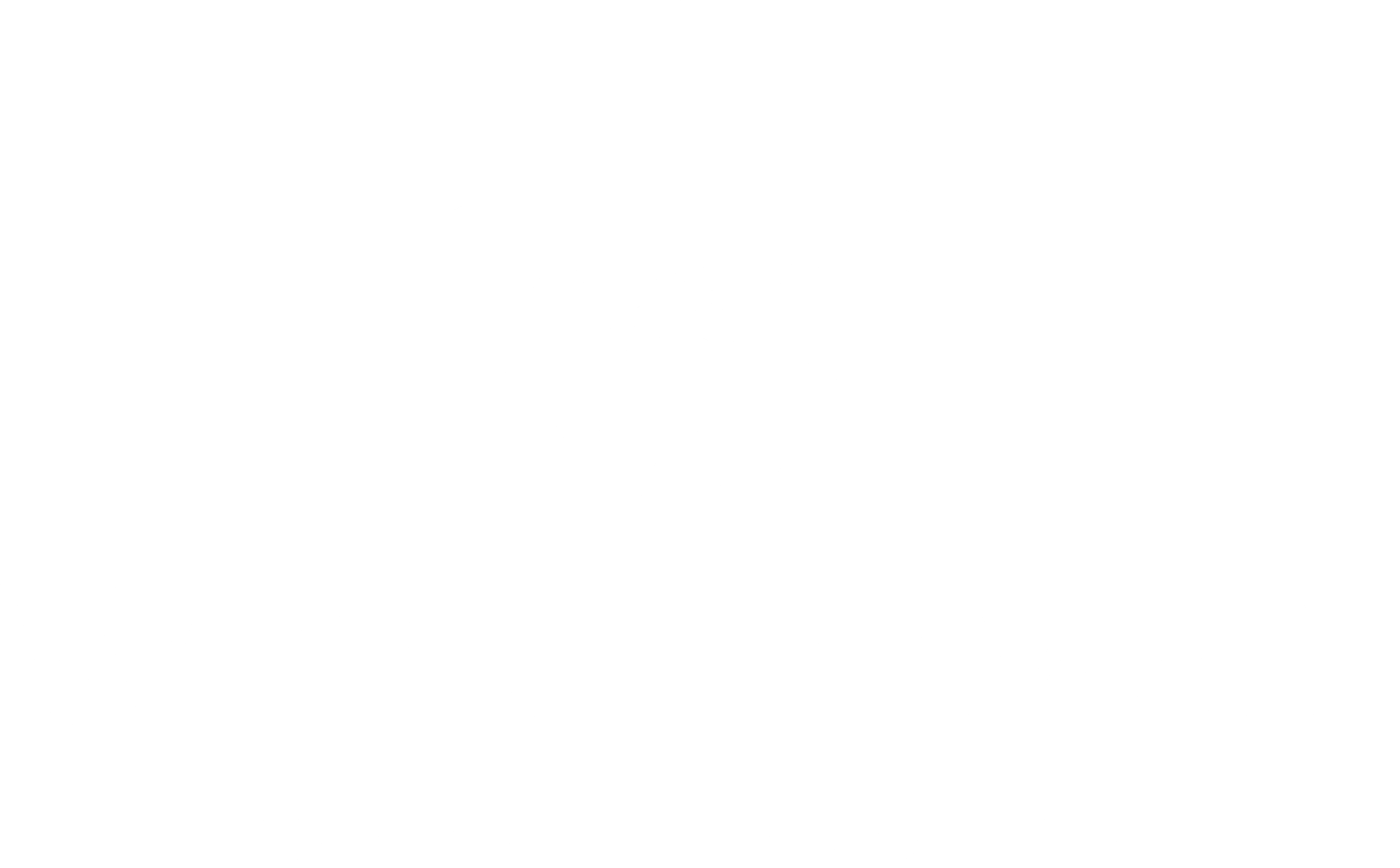 Webbi Logo